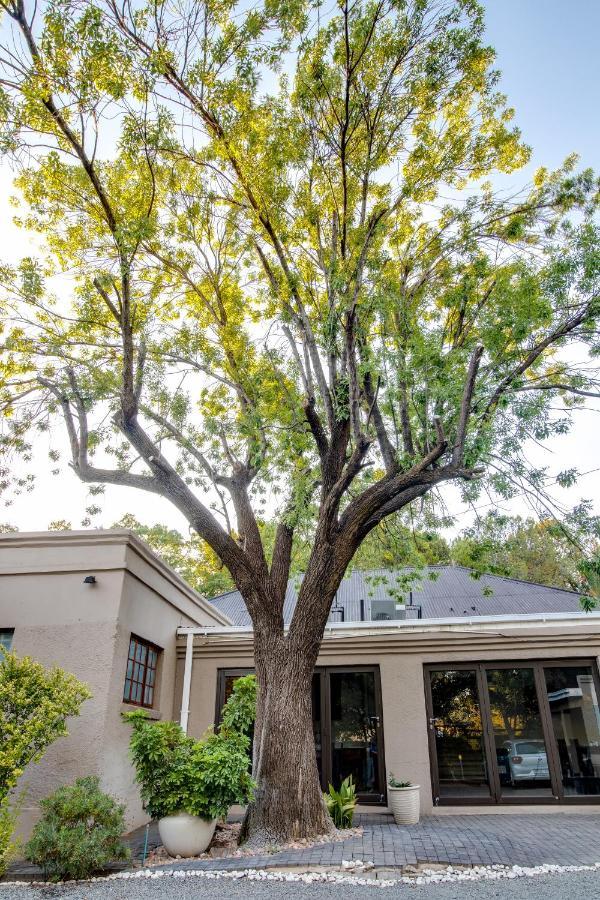 The Nightingale Guesthouse Bloemfontein Buitenkant foto